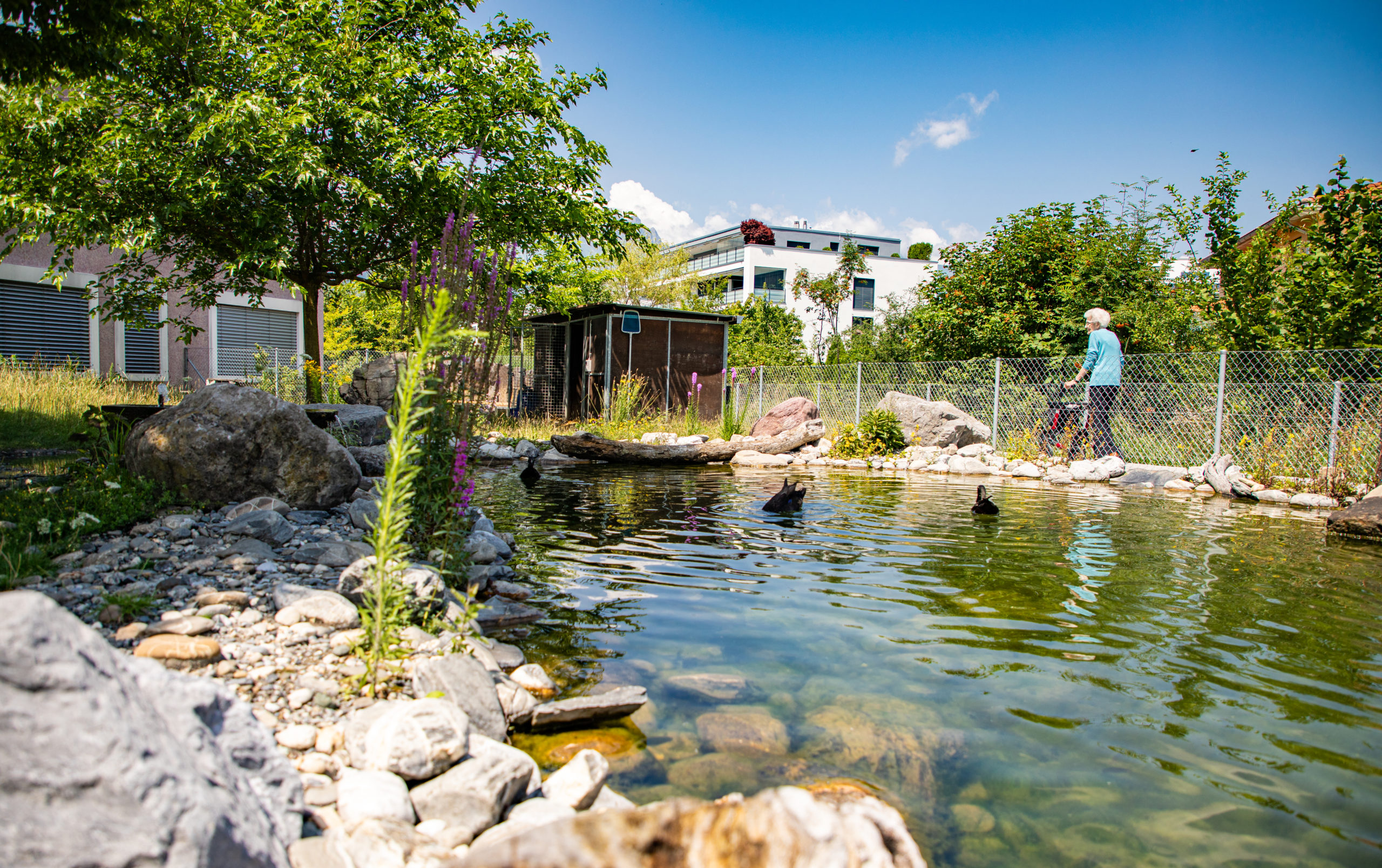Person mit Rollator spaziert um Teich